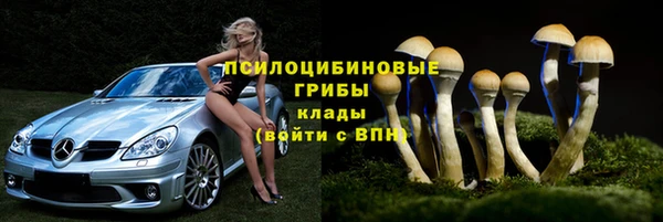 прущие крисы Кукмор