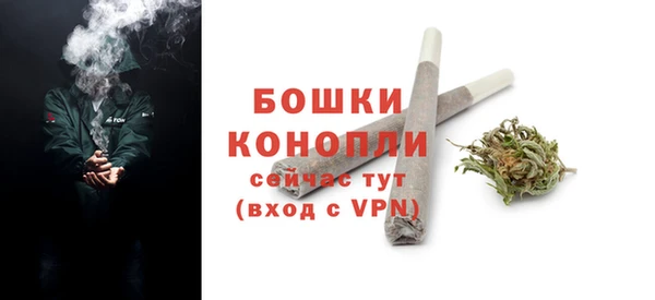 ПСИЛОЦИБИНОВЫЕ ГРИБЫ Краснослободск