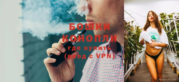 ПСИЛОЦИБИНОВЫЕ ГРИБЫ Краснослободск
