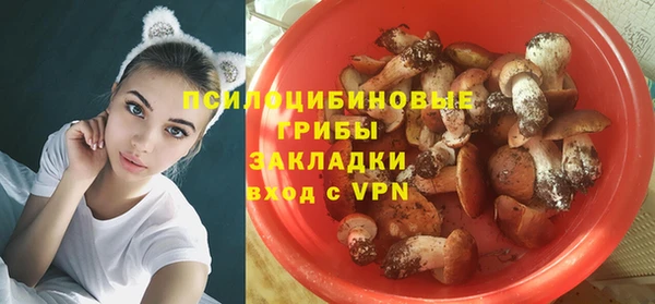 прущие крисы Кукмор
